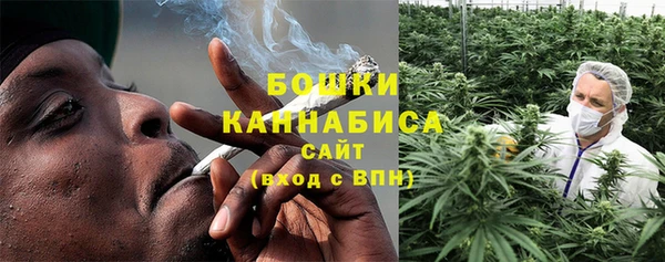 мдпв Пересвет
