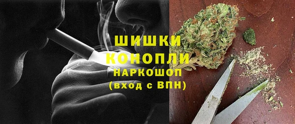 мдпв Пересвет
