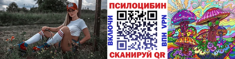 Псилоцибиновые грибы мицелий KRAKEN зеркало Верхняя Салда