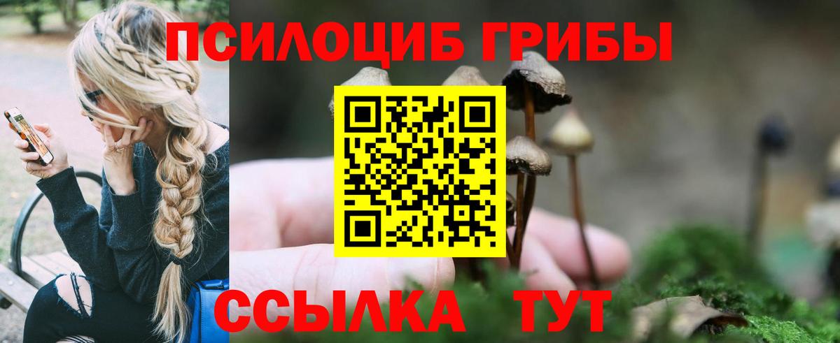 Псилоцибиновые грибы GOLDEN TEACHER  Верхняя Салда 