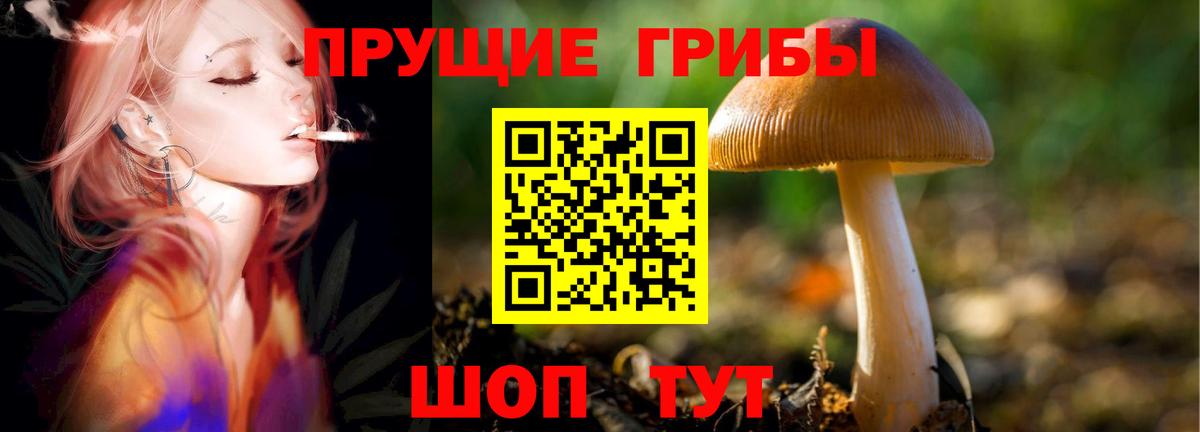 Псилоцибиновые грибы GOLDEN TEACHER  Вход с VPN  Галлюциногенные грибы прущие грибы  Верхняя Салда 
